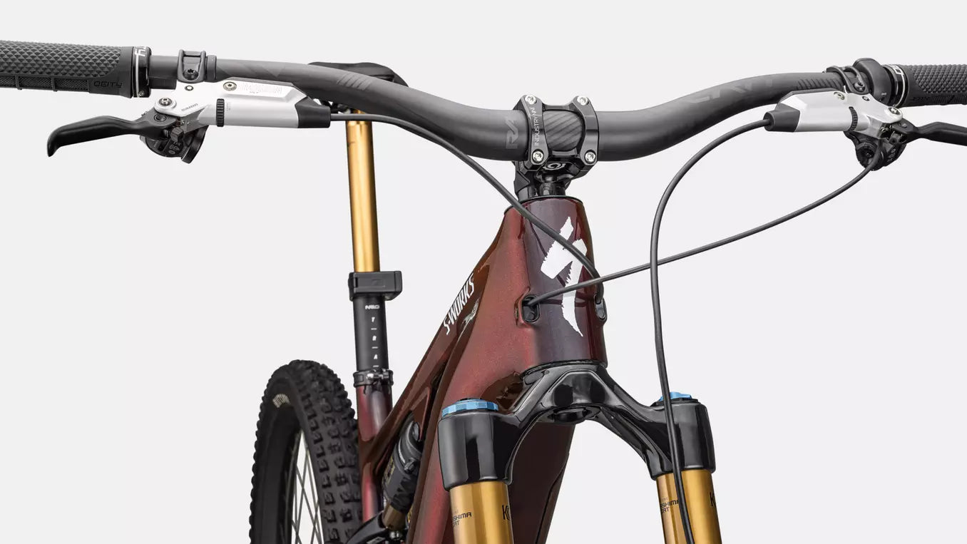 Specialized S-Works Levo 4