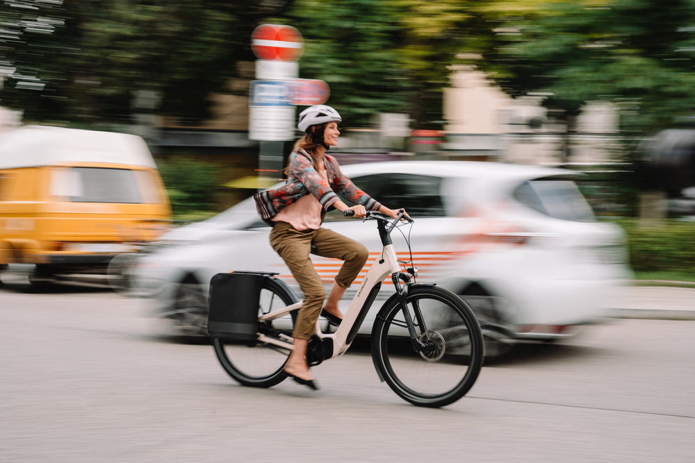 E-Trekking Bikes