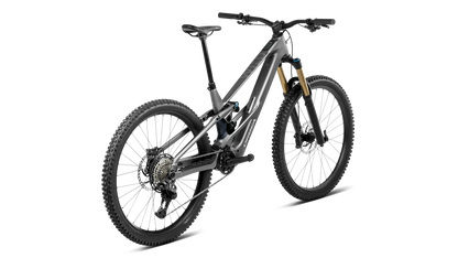 Orbea Wild LT H10
